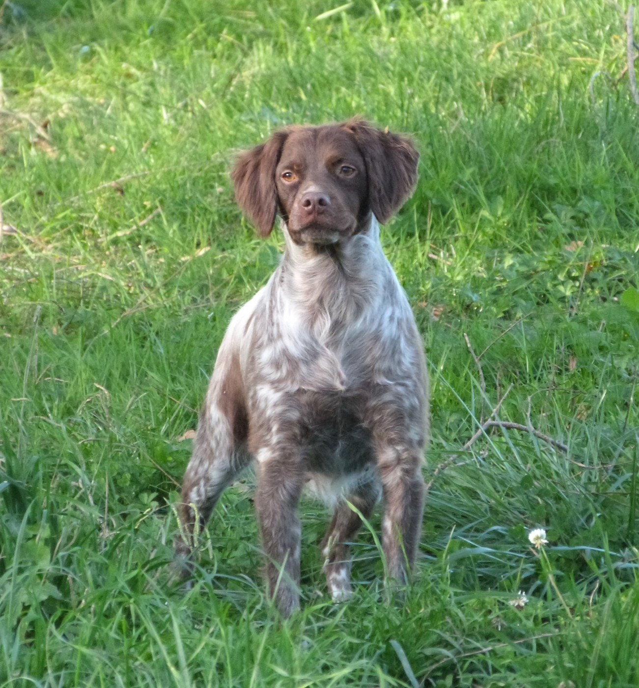 Unger games ysl Du Coeur Ambre