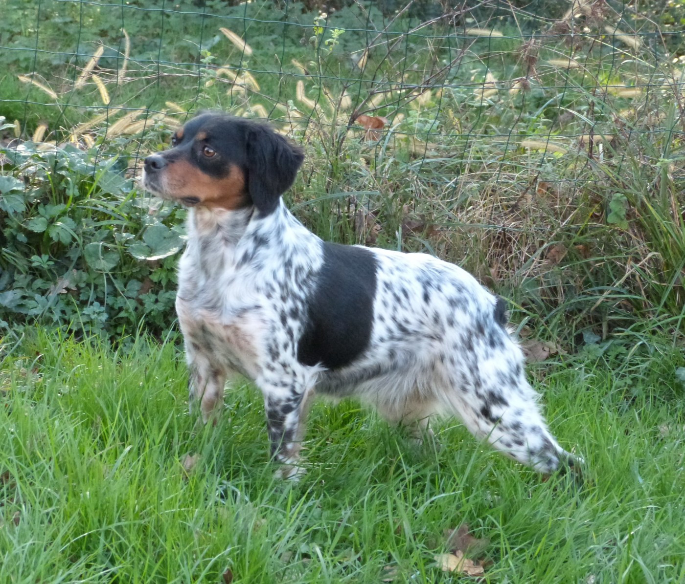 Des bébés début février 2026