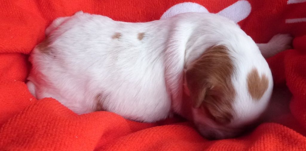 Mes "coups de cœurs" 